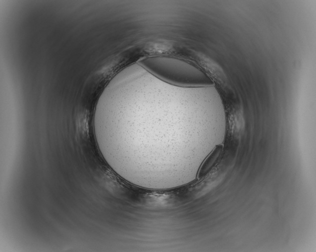 X0000113040570200909171523