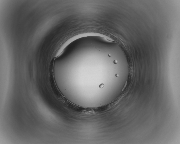 X0000113040572200909171523