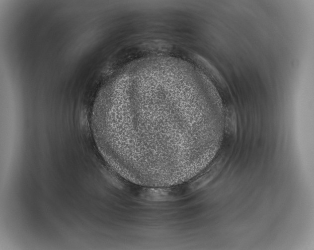 X0000113040573200909171523
