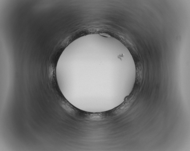 X0000113040574200909171523