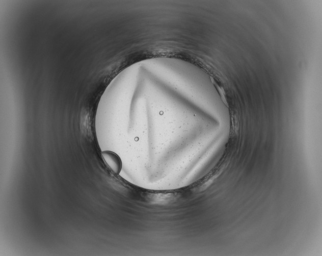 X0000113040575200909171523