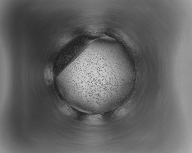 X0000113040576200909171523