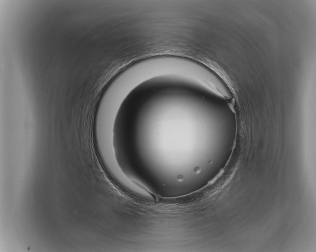 X0000113040577200909171523