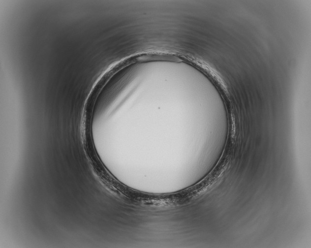 X0000113040580200909171523