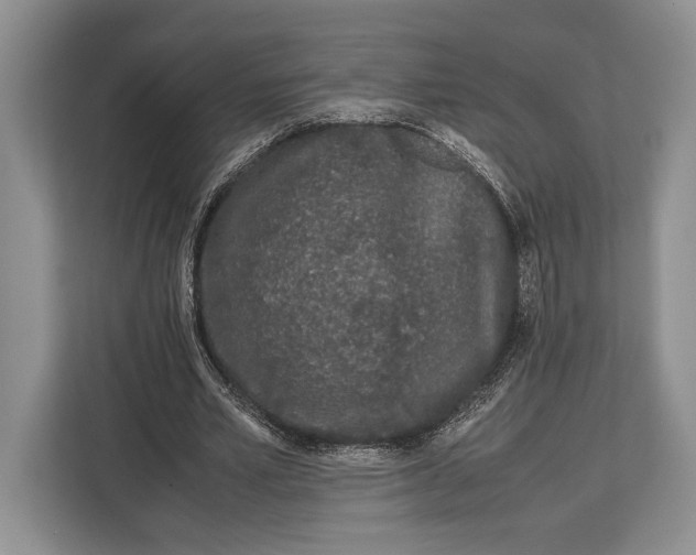 X0000113040581200909171523