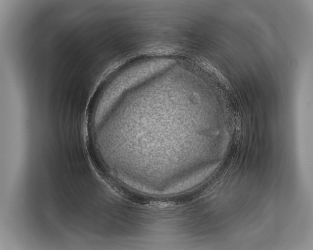 X0000113040582200909171523