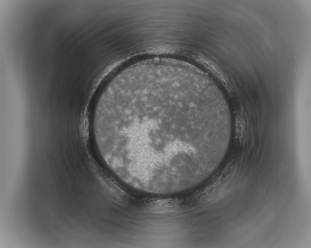 X0000113040584200909171523