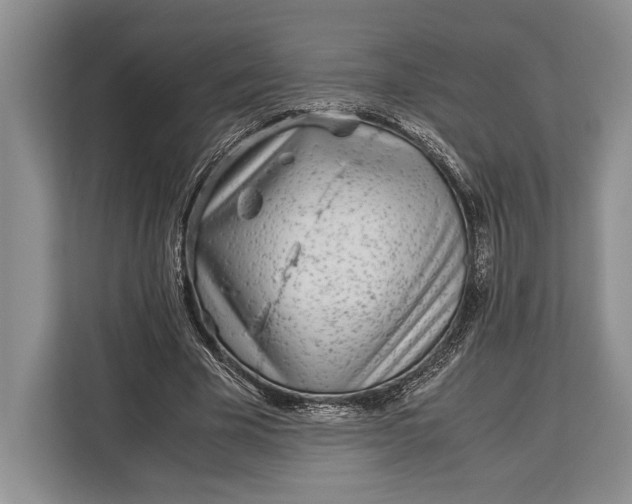 X0000113040585200909171523
