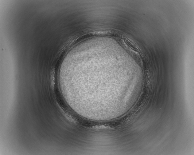 X0000113040586200909171523