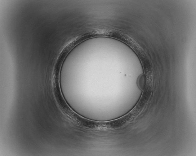 X0000113040587200909171523