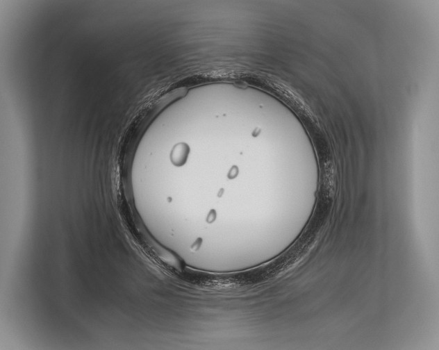 X0000113040589200909171523