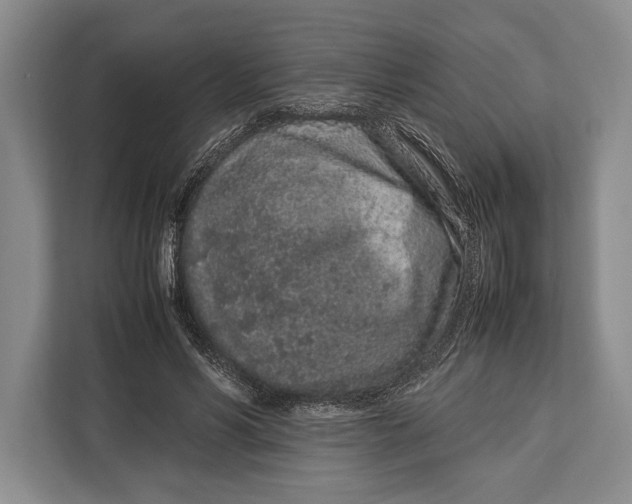 X0000113040590200909171522