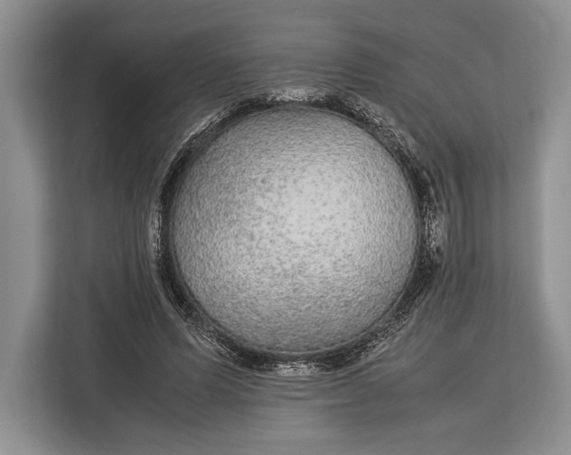 X0000113040591200909171522