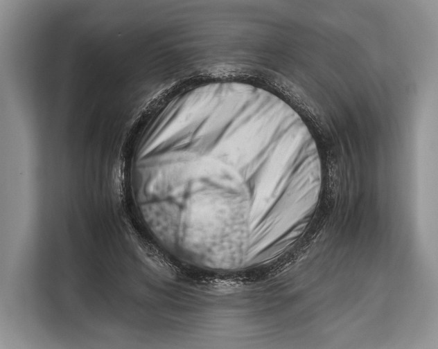 X0000113040592200909171522