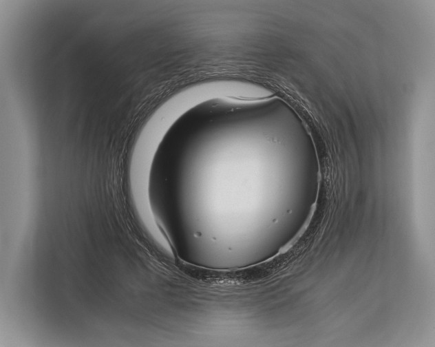 X0000113040593200909171522