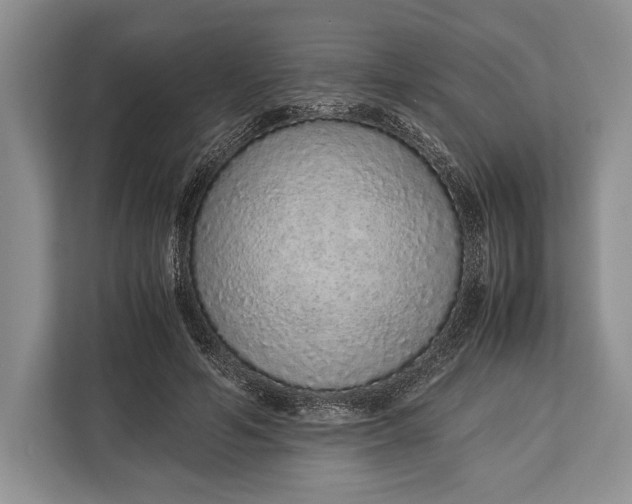 X0000113040594200909171522