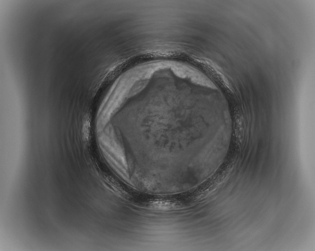 X0000113040596200909171522