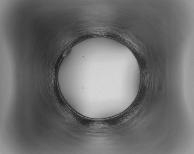 X0000113040597200909171522