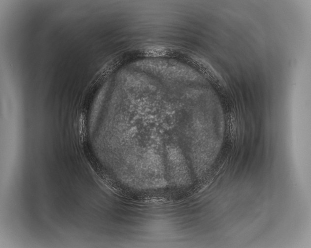 X0000113040598200909171522