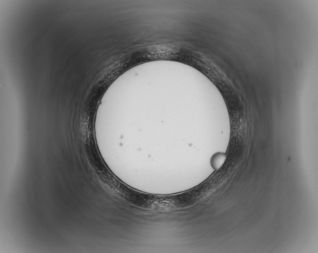 X0000113040599200909171522