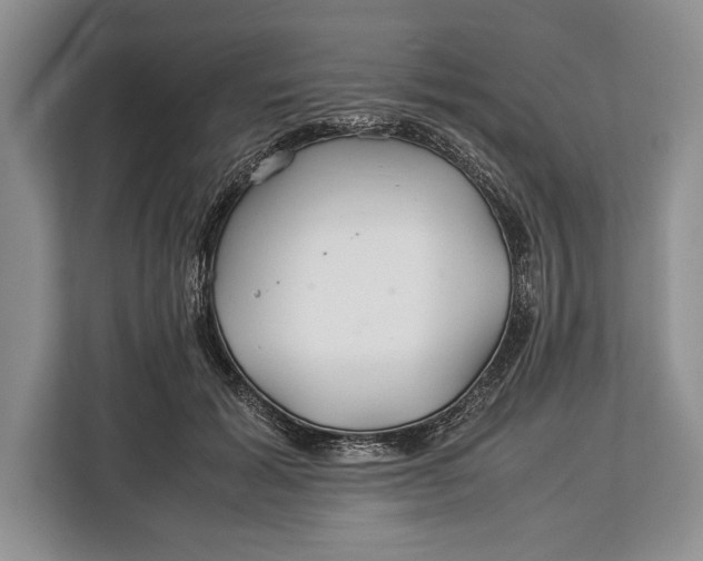 X0000113040605200909171522