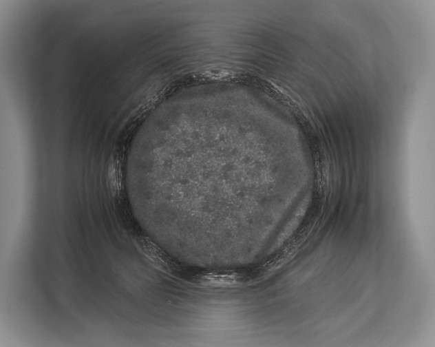 X0000113040606200909171522