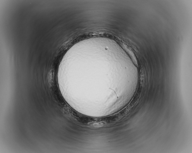 X0000113040608200909171522