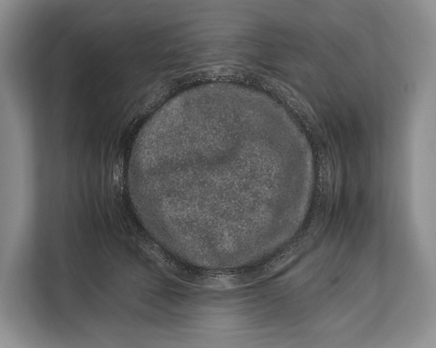 X0000113040610200909171522