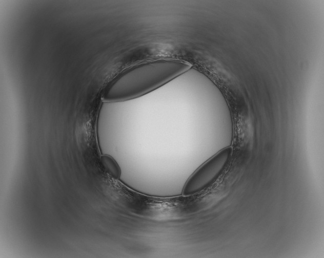 X0000113040611200909171522