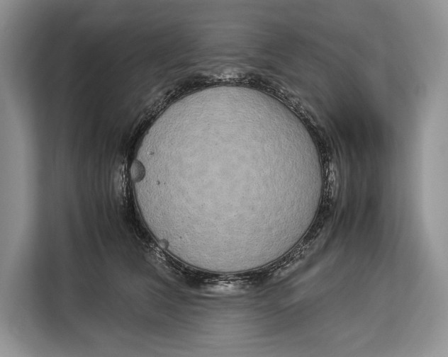 X0000113040612200909171522