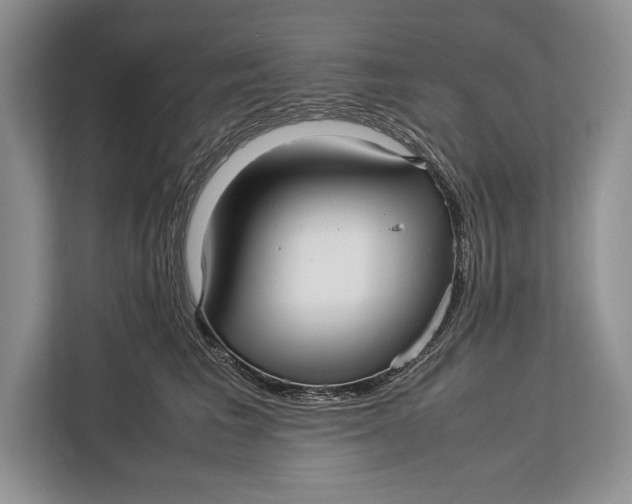 X0000113040613200909171522