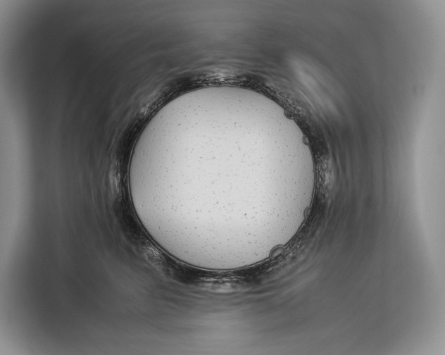 X0000113040615200909171522