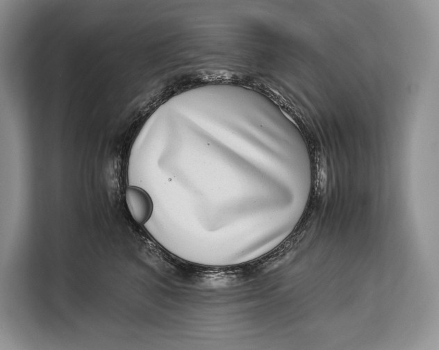X0000113040616200909171522