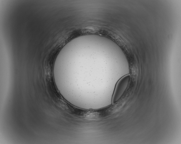 X0000113040617200909171522