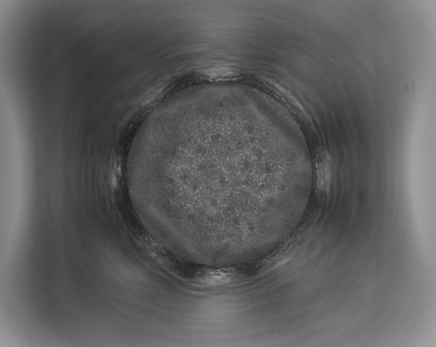 X0000113040618200909171522