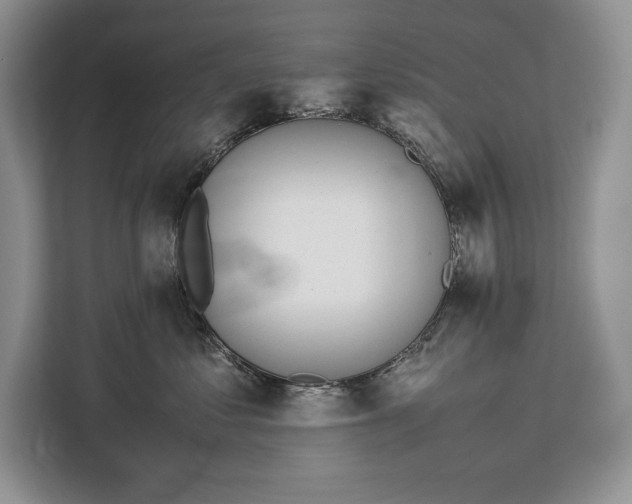 X0000113040621200909171522