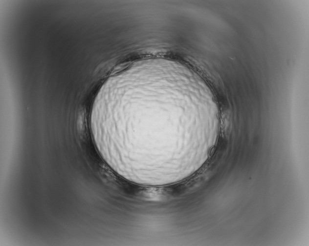 X0000113040623200909171522