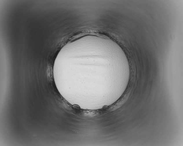 X0000113040624200909171522