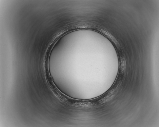 X0000113040626200909171521