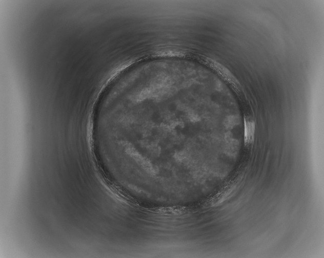 X0000113040627200909171521