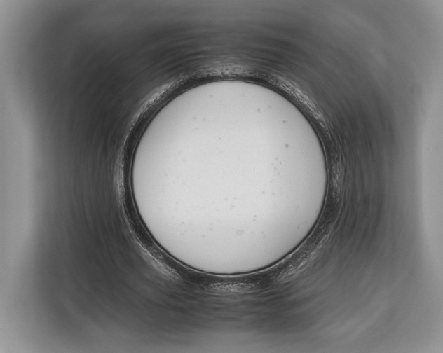 X0000113040629200909171521