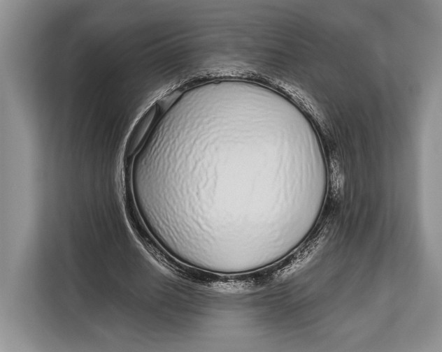 X0000113040630200909171521