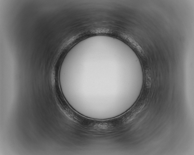 X0000113040631200909171521