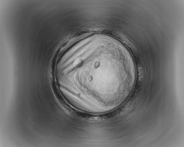 X0000113040634200909171522