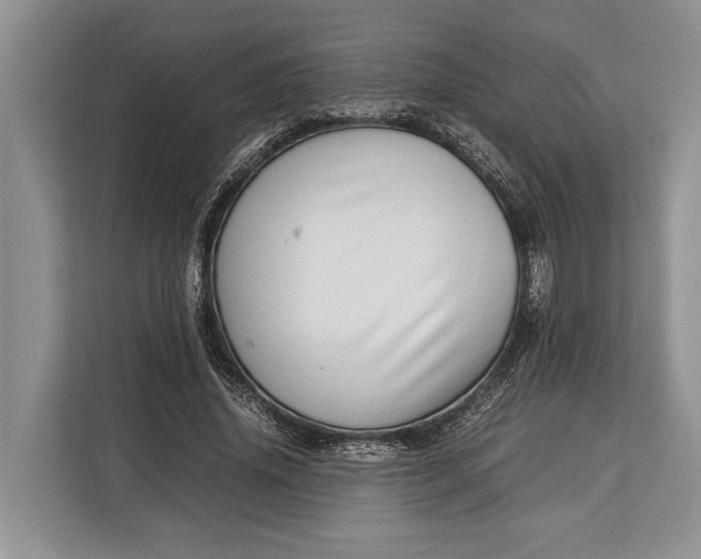 X0000113040636200909171522