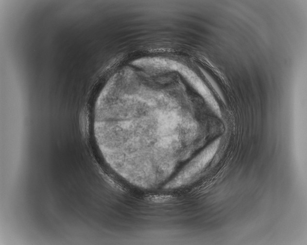 X0000113040637200909171522