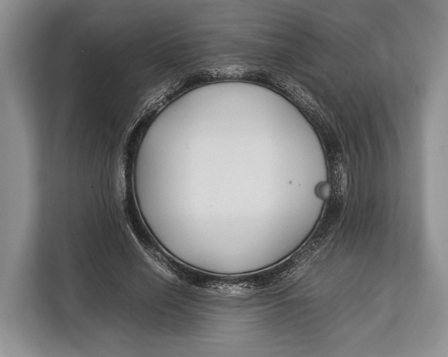 X0000113040638200909171522
