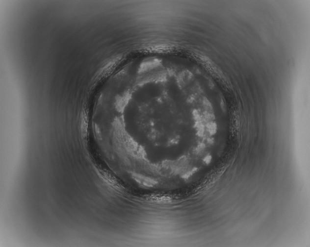 X0000113040640200909171522
