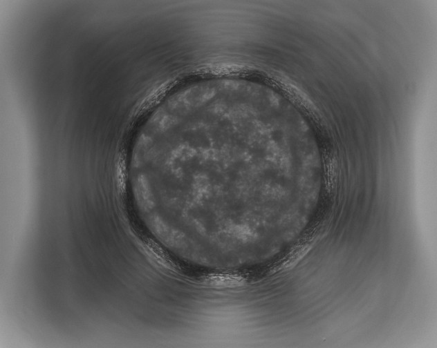 X0000113040644200909171522