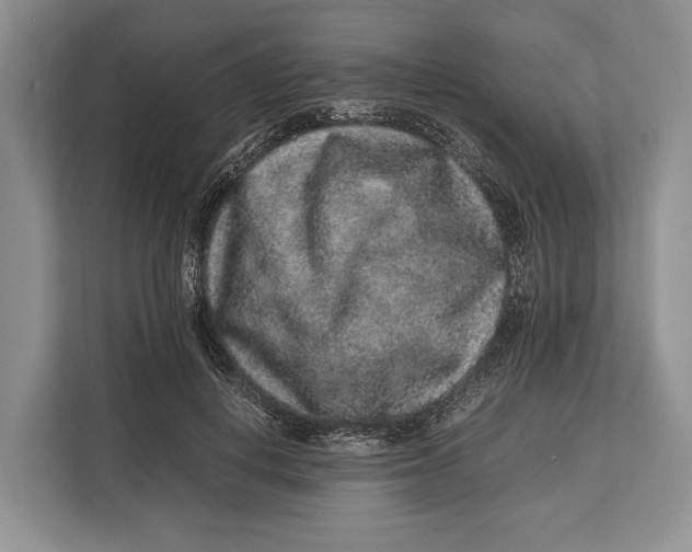X0000113040648200909171522